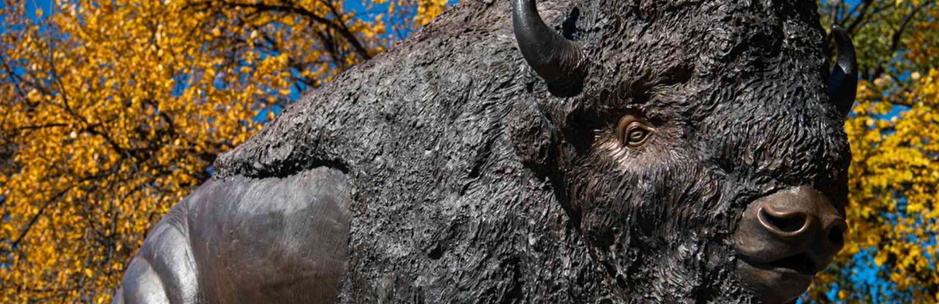 North Dakota State University Niche