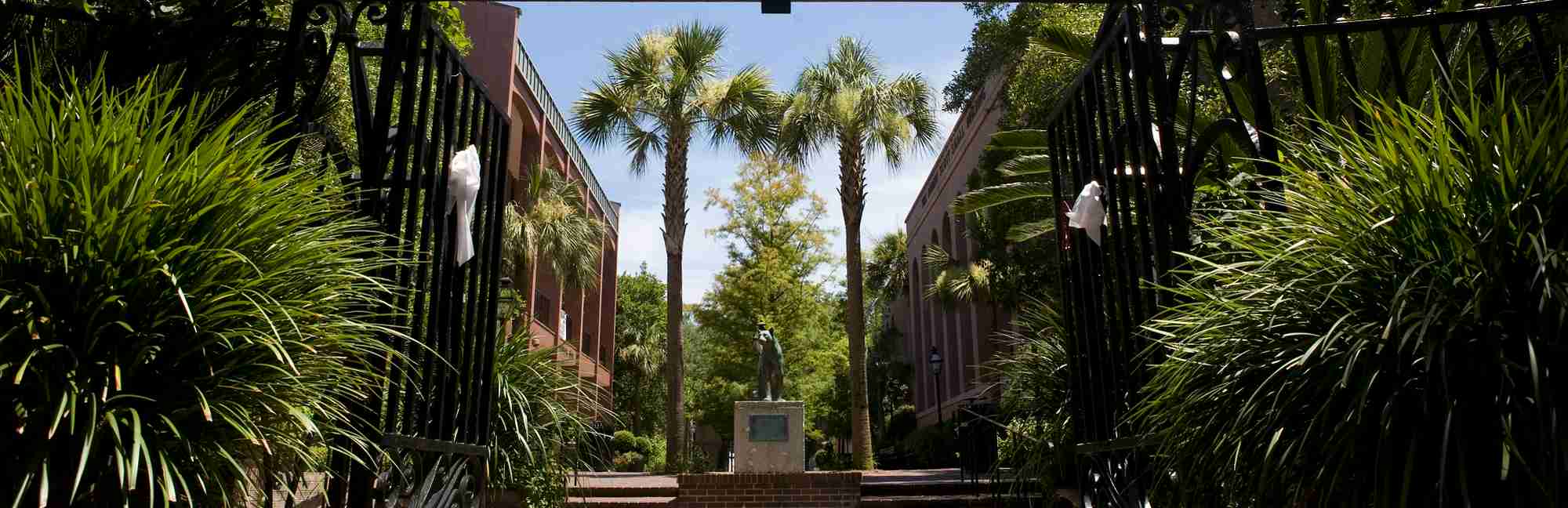 College of Charleston Graduate Programs - Niche