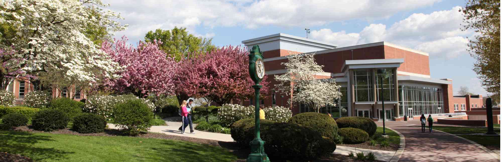 york-college-of-pennsylvania-niche