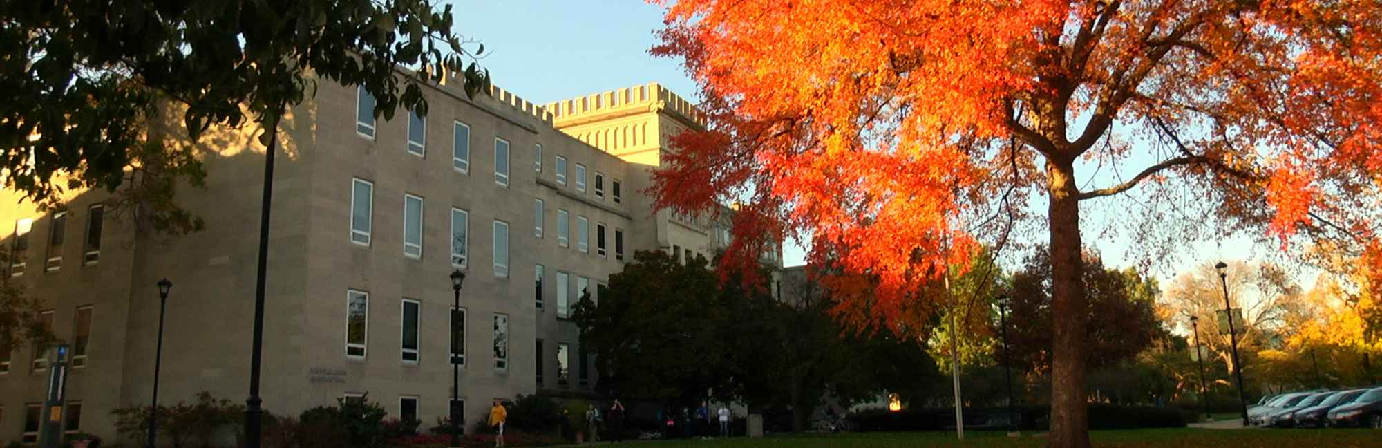 Bradley University Niche