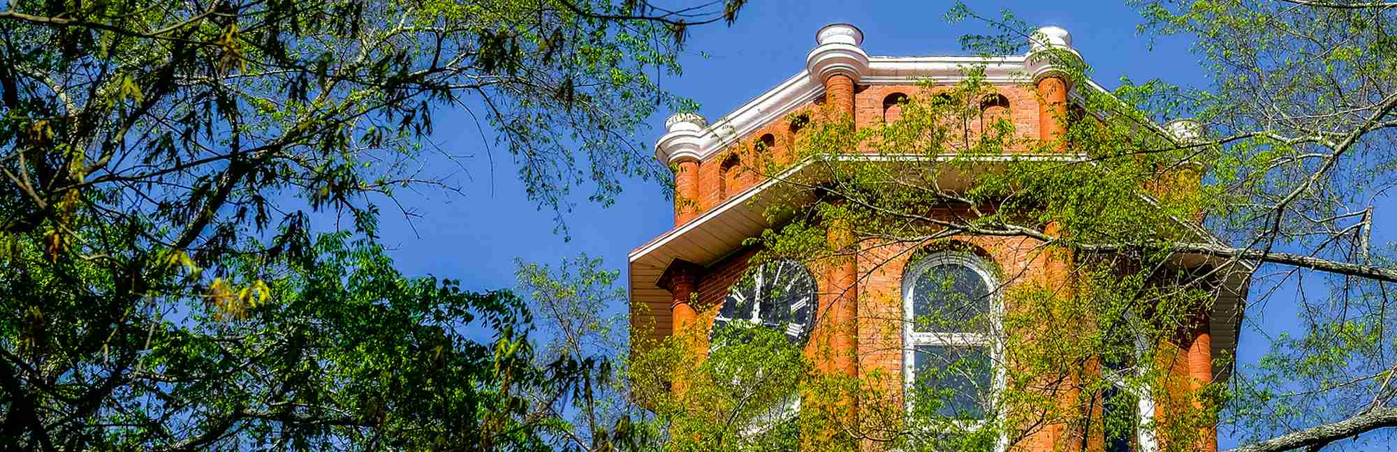 Erskine College Niche