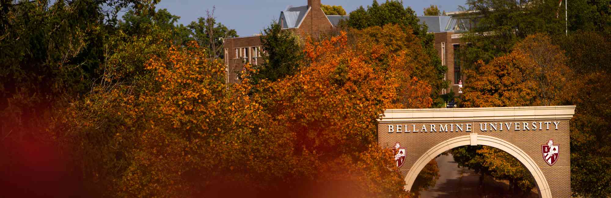 Bellarmine University - Niche