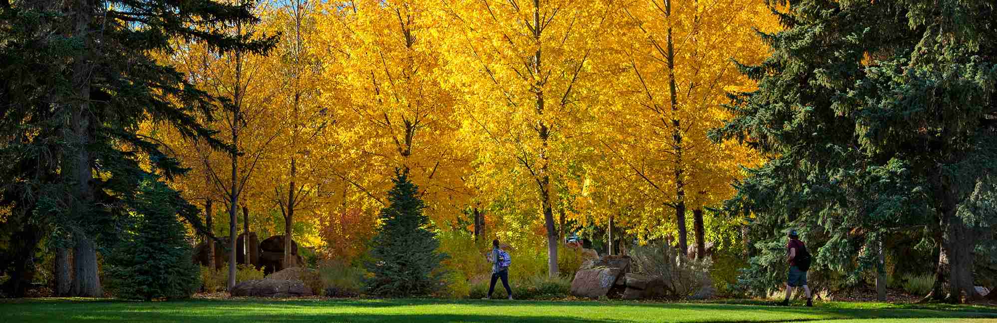 University of Wyoming Niche