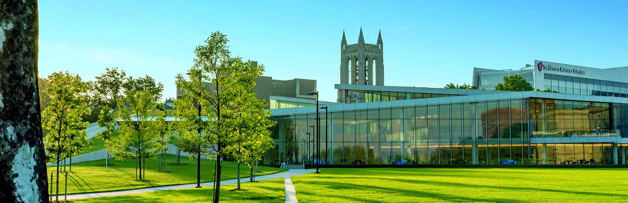 Case Western Reserve University Niche