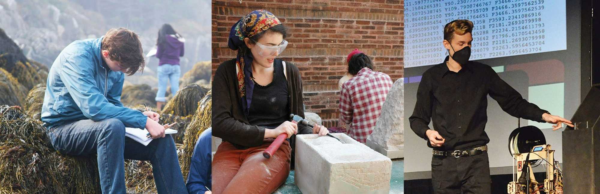 Chicago Waldorf School in Chicago, IL Niche