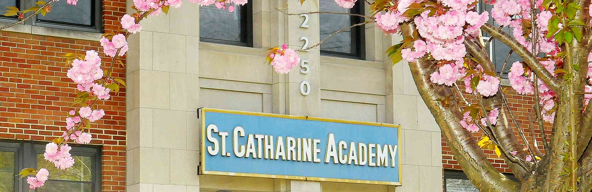St. Catharine Academy in The Bronx, NY Niche