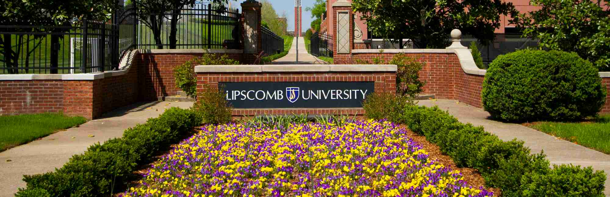 University College of Liberal Arts and Sciences Graduate