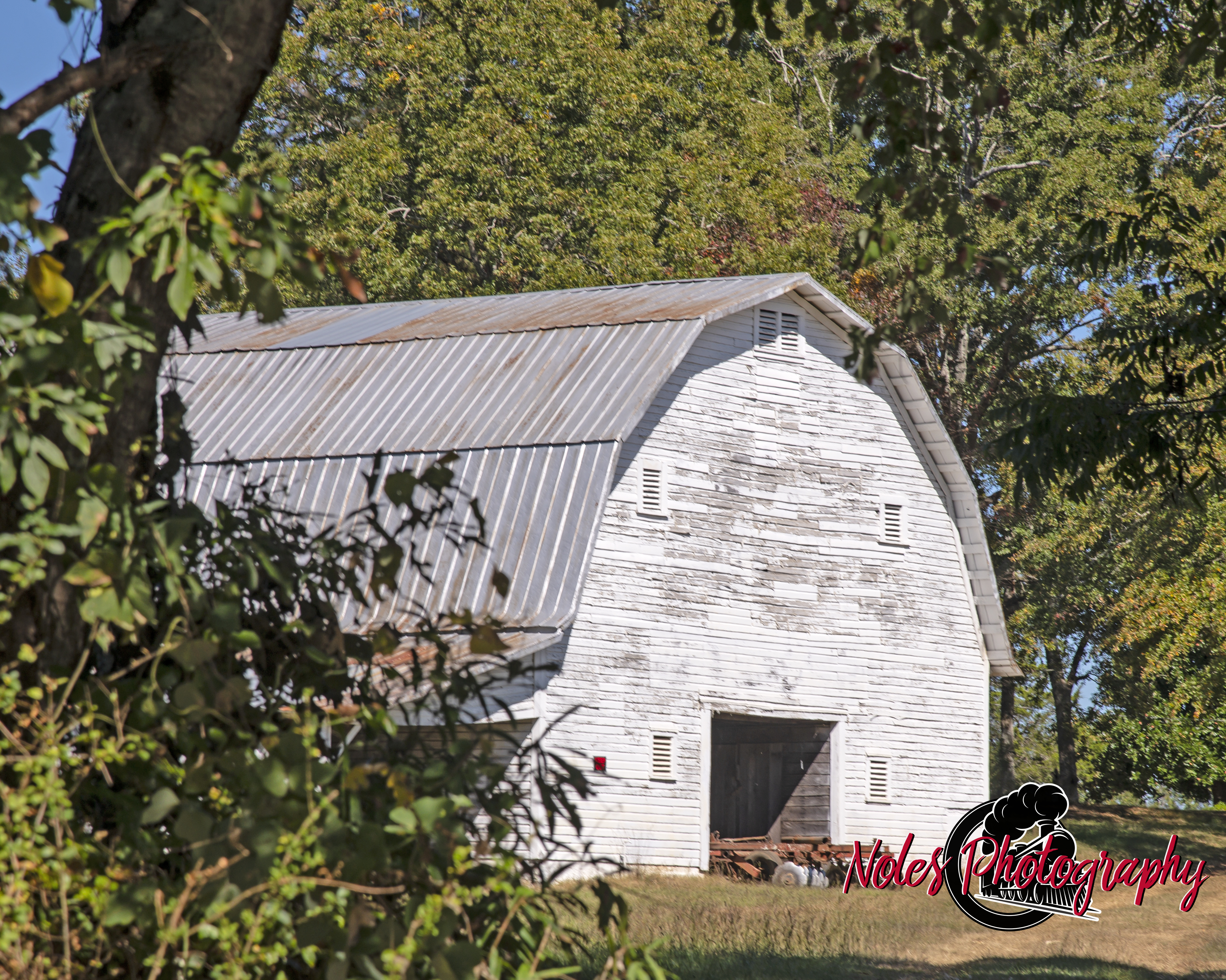 Barn-Hy-431_Wedowee_3435-copy