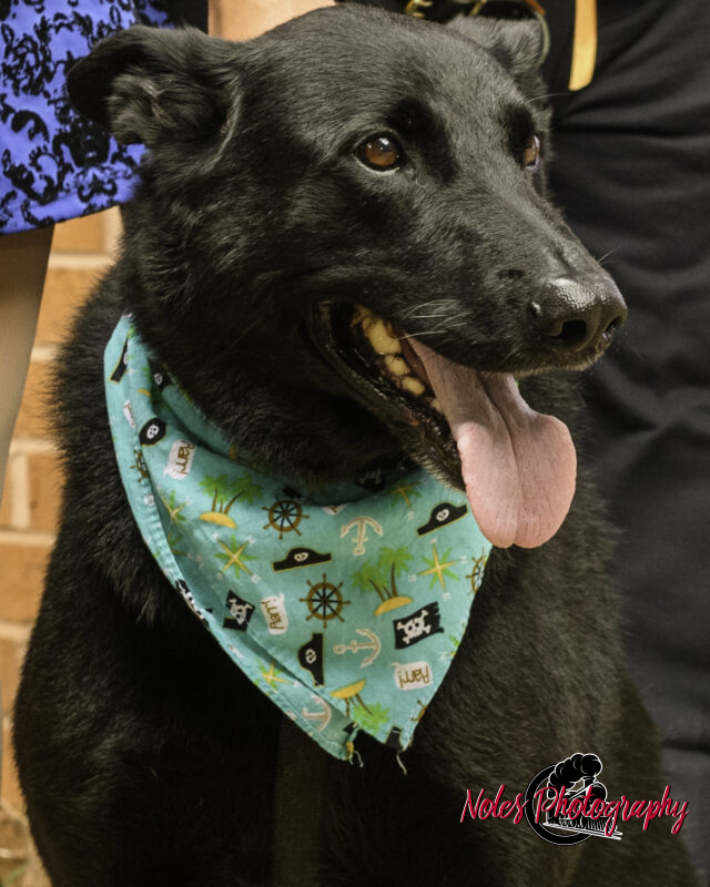 Kevin-Alley-Thomas©NolesPhotography-3737