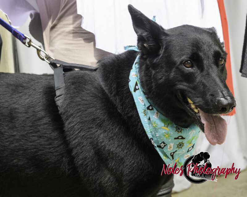 Kevin-Alley-Thomas©NolesPhotography-3769