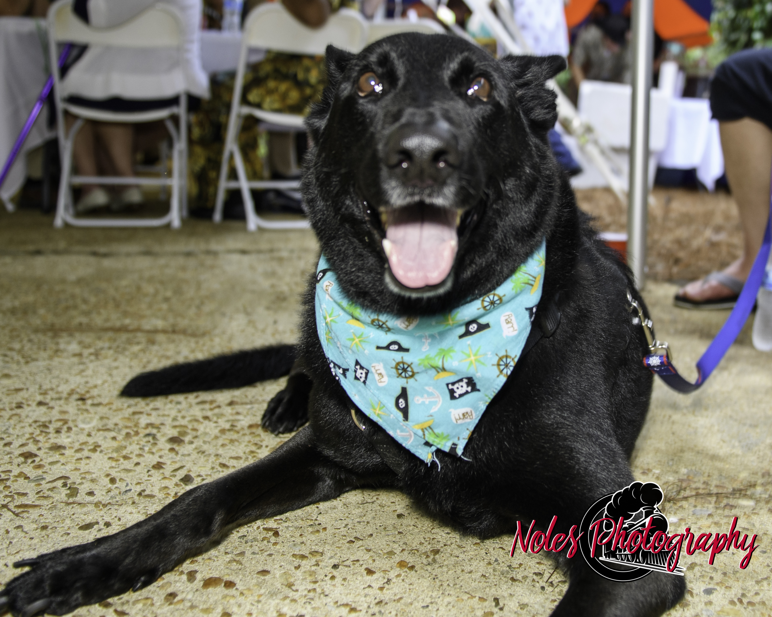 Kevin-Alley-Thomas©NolesPhotography-3972