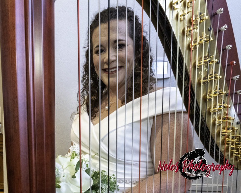 Wedding-Craig-Meredith-Vickers-7248