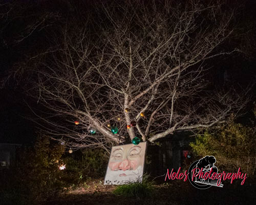 2023-Camelot-Christmas-RN-2714