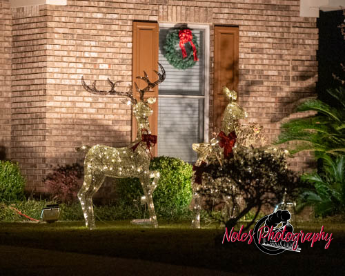 2023-Camelot-Christmas-RN-7437