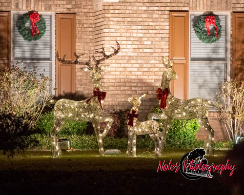 2023-Camelot-Christmas-RN-7438