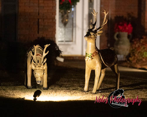 2023-Camelot-Christmas-RN-7441