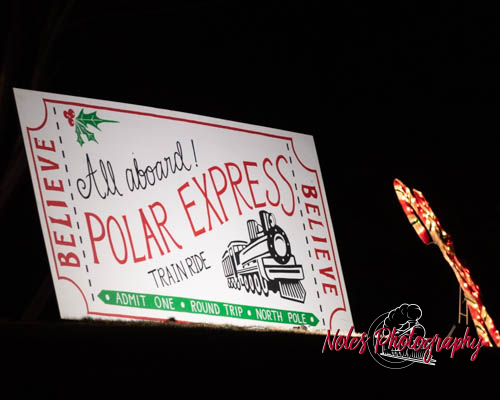 2023-Camelot-Christmas-RN-7464