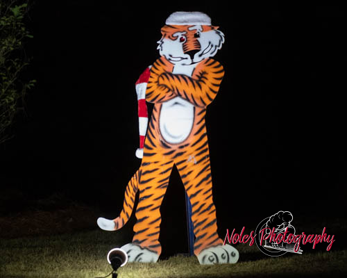 2023-Camelot-Christmas-RN-7470