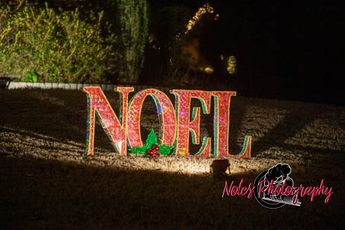 2023-Camelot-Christmas-RN-7515