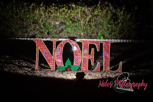 2023-Camelot-Christmas-RN-7516