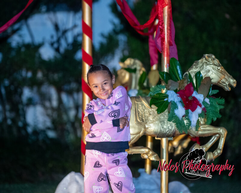 30th-Year-Victorian-Front-Pourch-RN-7569