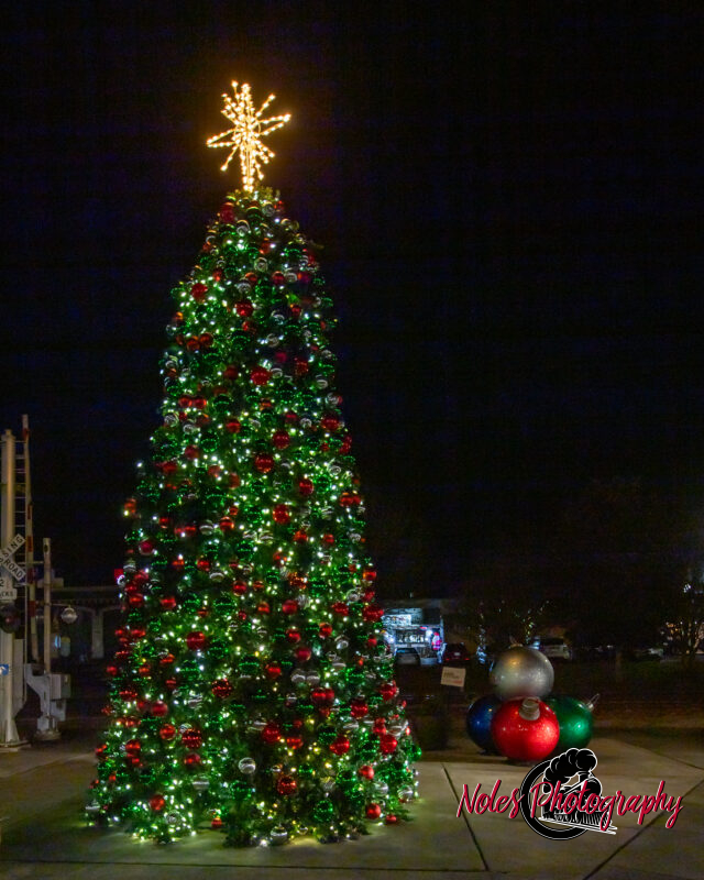 2023-Opelika-Decorations-3734