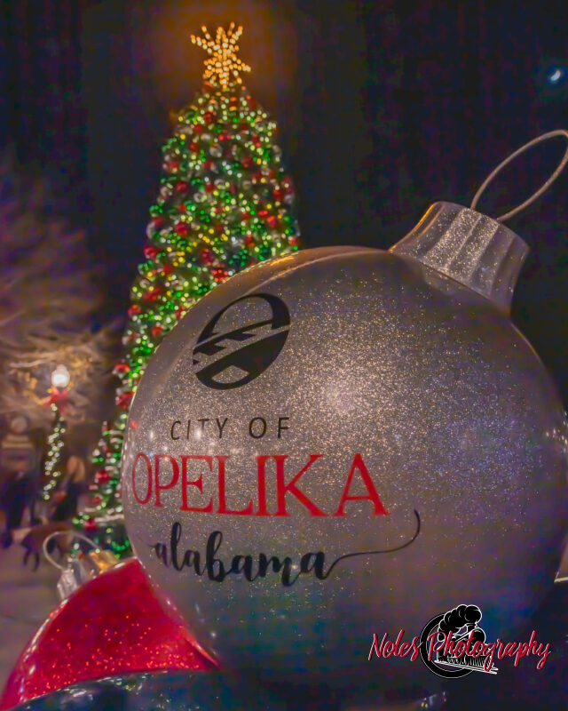 2023-Opelika-Decorations-3738