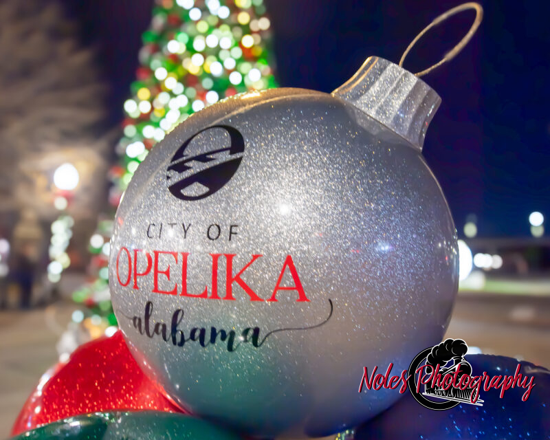 2023-Opelika-Decorations-3739