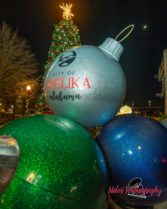 2023-Opelika-Decorations-3743
