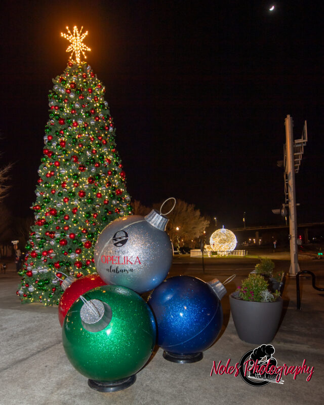 2023-Opelika-Decorations-3745