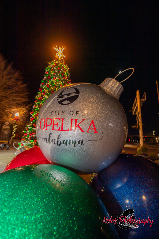 2023-Opelika-Decorations-3748