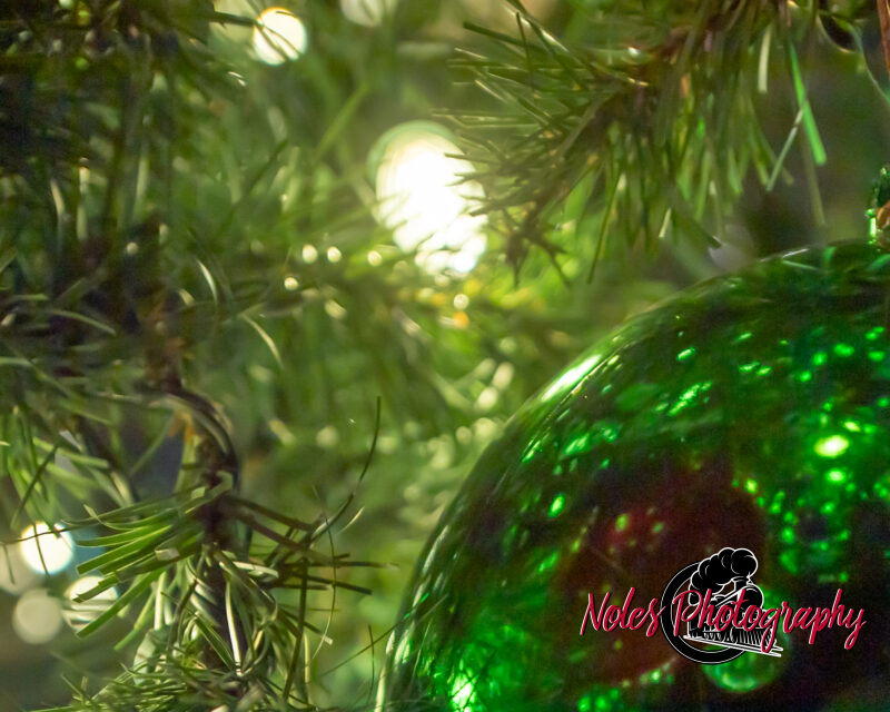 2023-Opelika-Decorations-3749