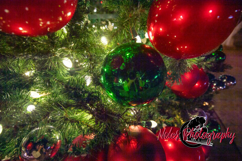 2023-Opelika-Decorations-3750