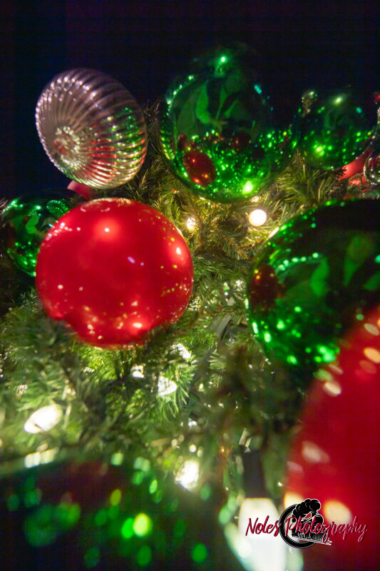 2023-Opelika-Decorations-3751