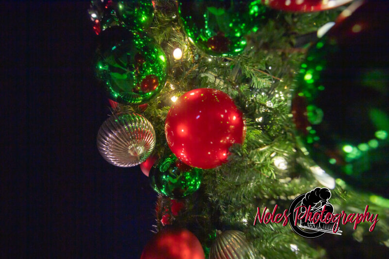 2023-Opelika-Decorations-3752