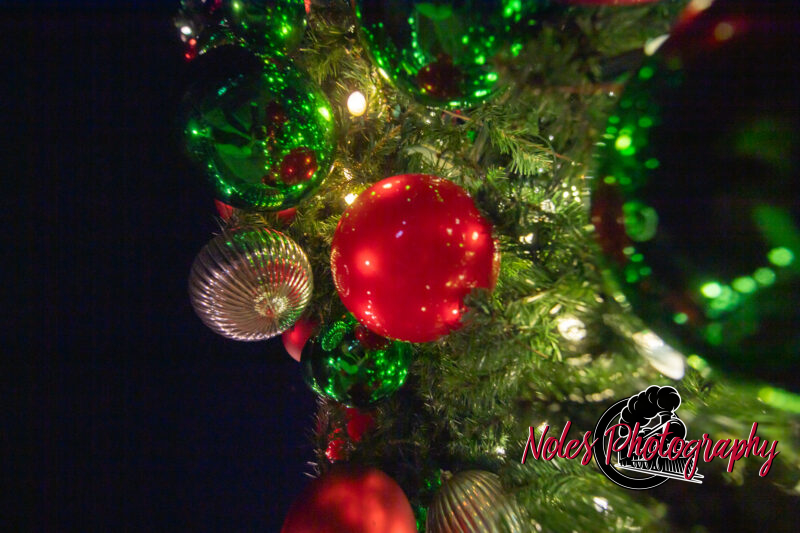 2023-Opelika-Decorations-3753