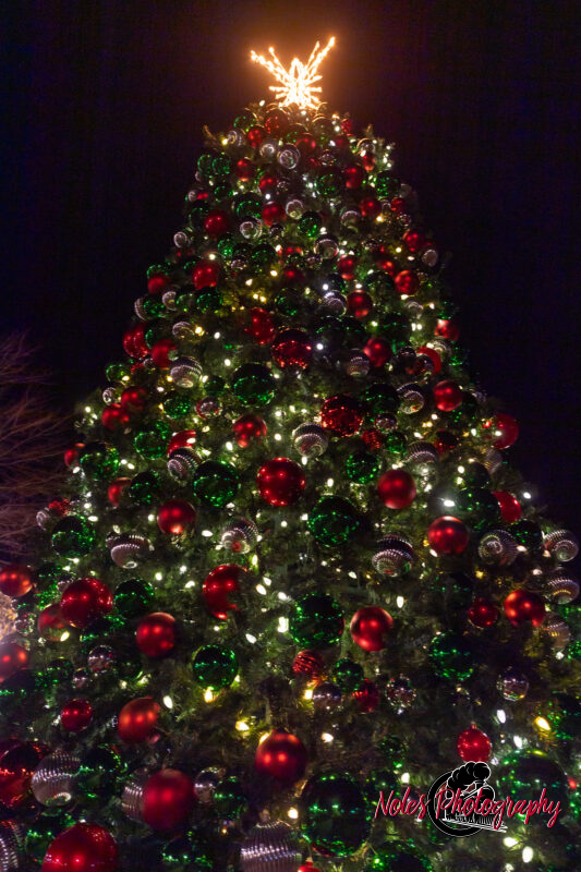 2023-Opelika-Decorations-3756