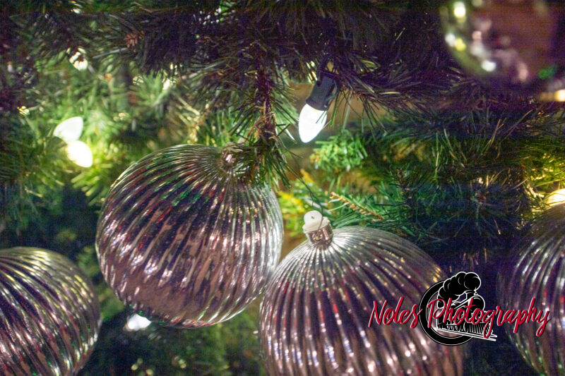 2023-Opelika-Decorations-3757