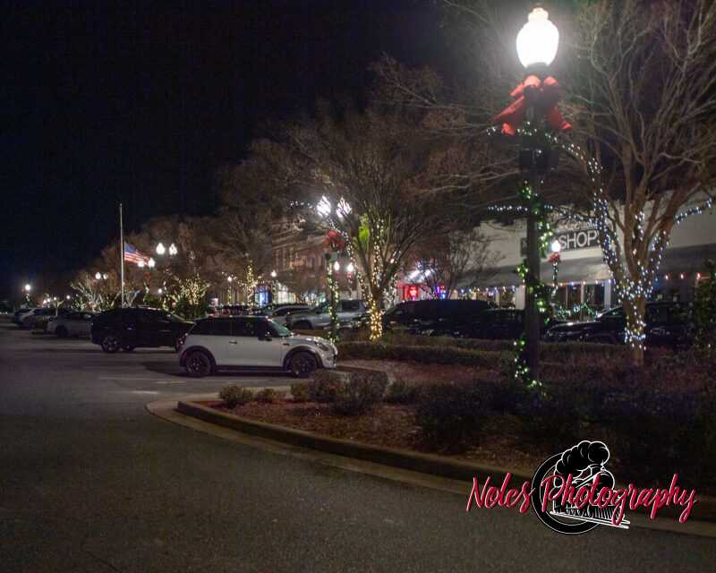 2023-Opelika-Decorations-3758