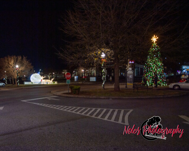 2023-Opelika-Decorations-3759