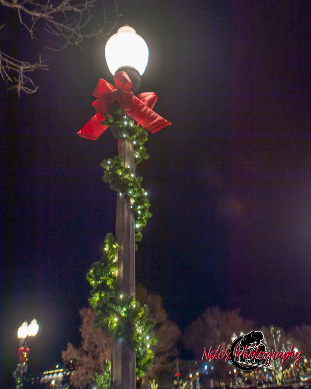 2023-Opelika-Decorations-3767