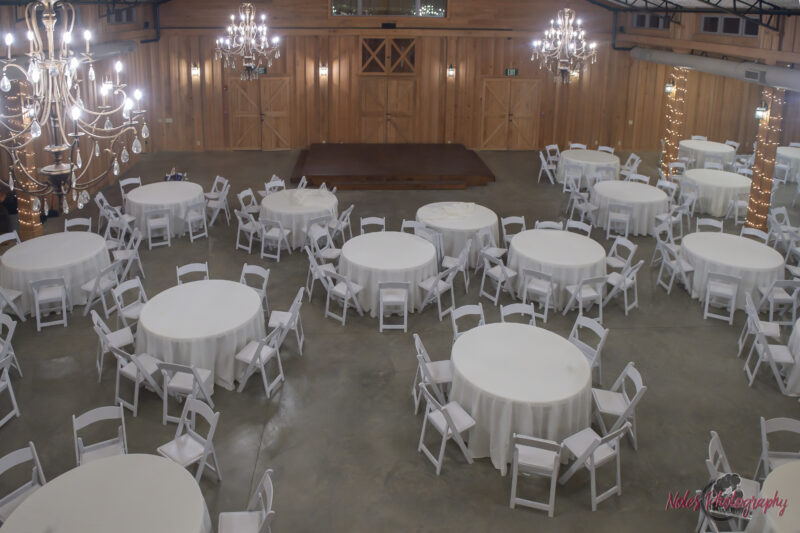 Cypress-Hill-untitled-16020