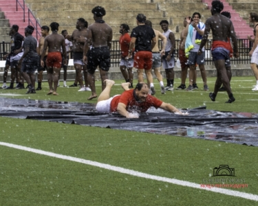 OHS-Snaking-The-Field-8446