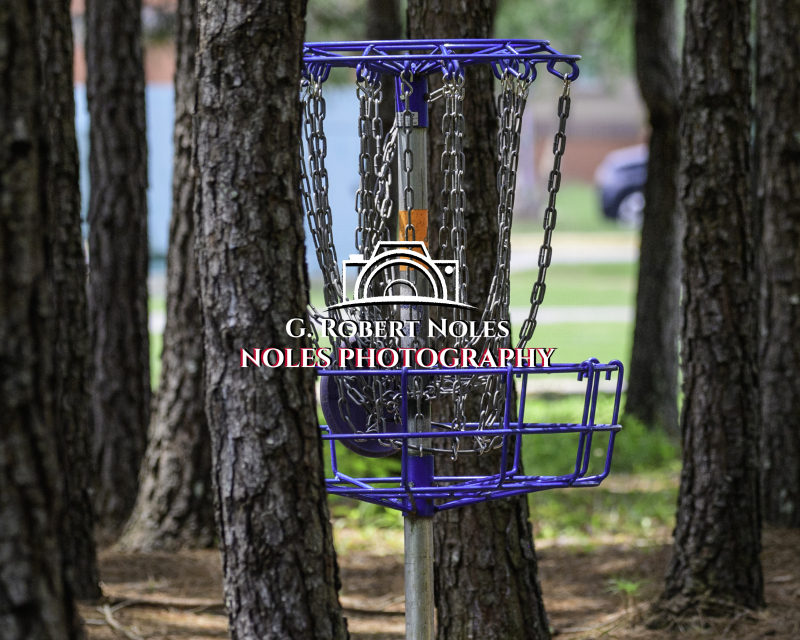 Disc-Golf-Tourament-9731