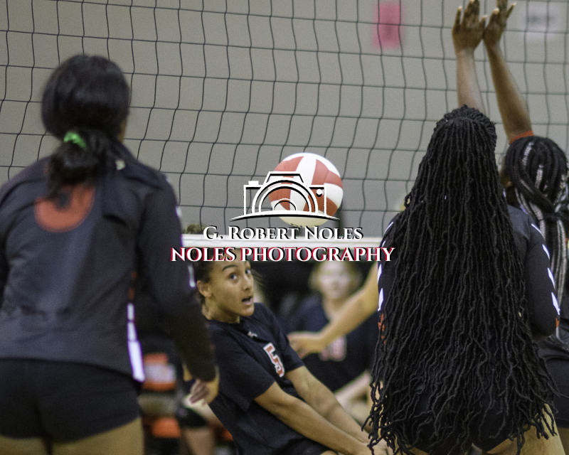 Volleyball-Opelika-Russell-Co-©-Noles-6164