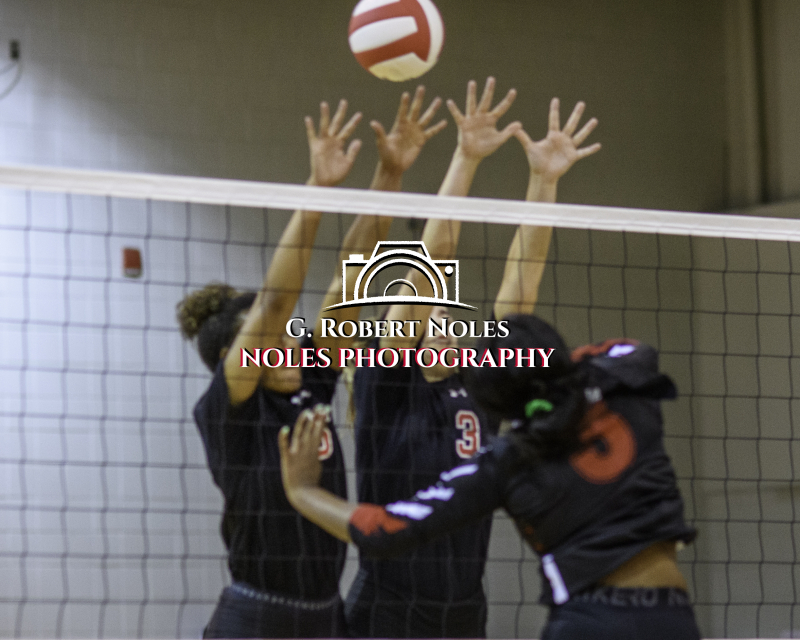 Volleyball-Opelika-Russell-Co-©-Noles-6220