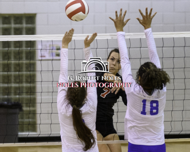 VolleyBall-Opelika-Valley©Noles-4396