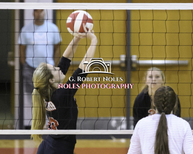 VolleyBall-Opelika-Valley©Noles-4441