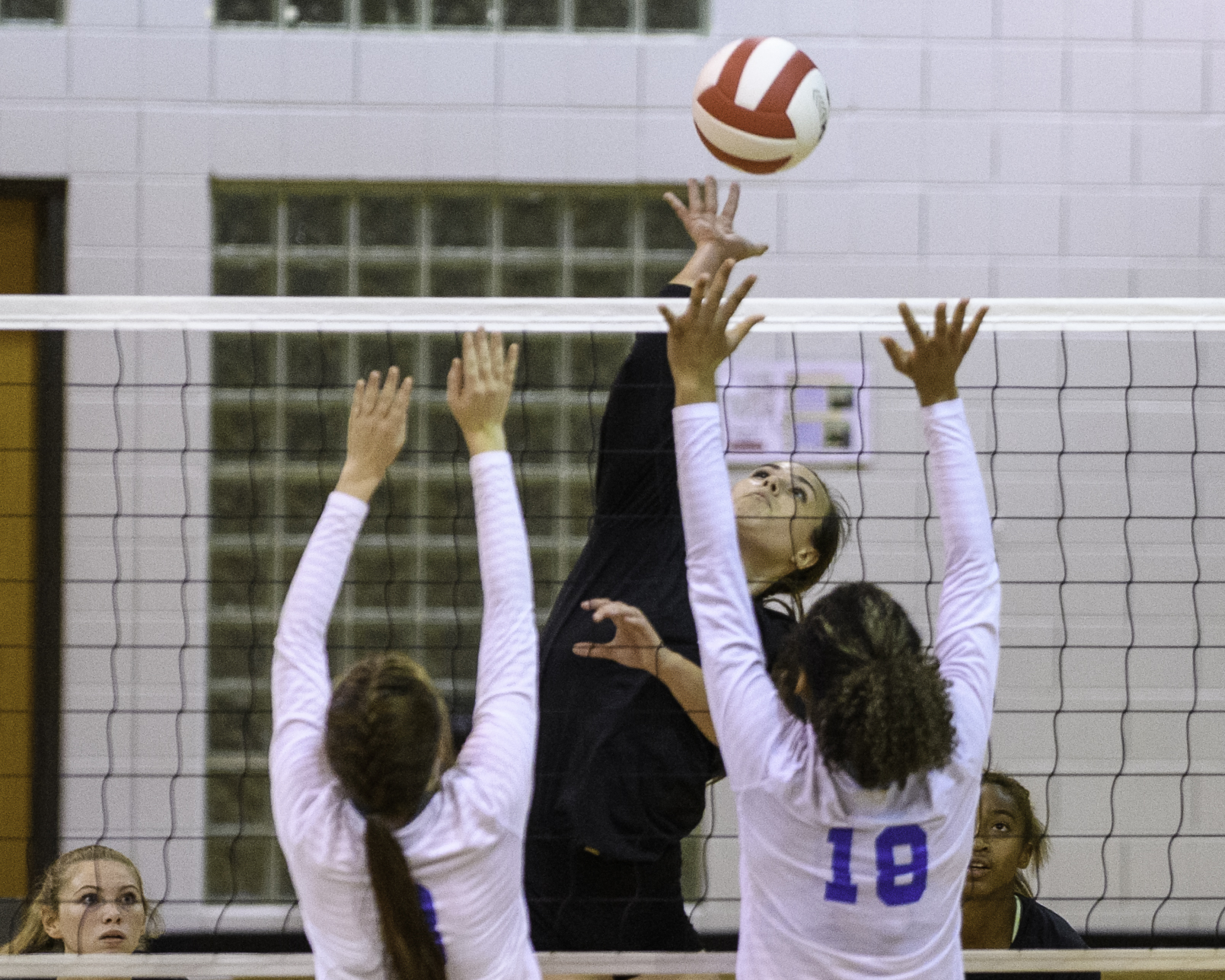 VolleyBall-Opelika-Valley©Noles-4469