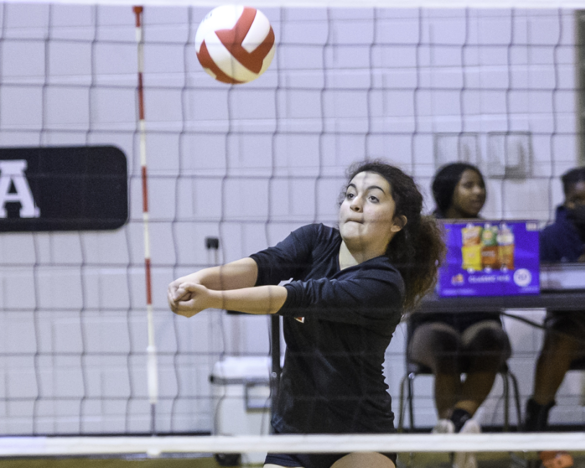 VolleyBall-Opelika-Valley©Noles-4480
